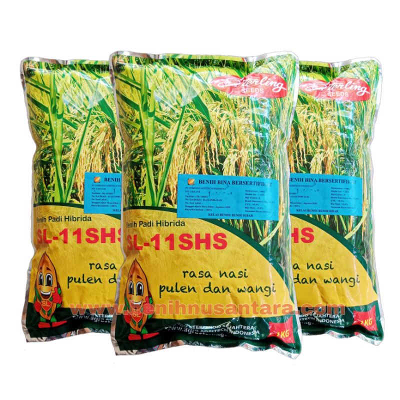 Benih Padi Hibrida SL 11 SHS