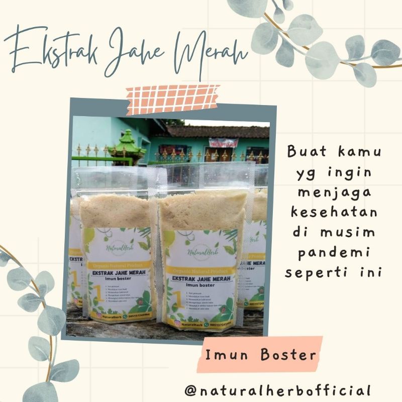 

ekstrak jahe merah serbuk