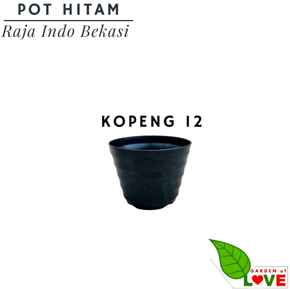 COD Pot Tanaman Pembibitan/Pot Basic /Pot Hitam/Pot Tanaman/Pot Pembibitan/Pot Polos 12 15 17 20 25