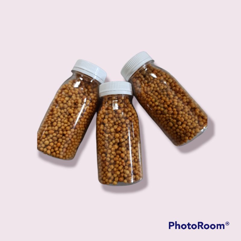 pupuk osmocote 14-14-14 slow release fertilizer