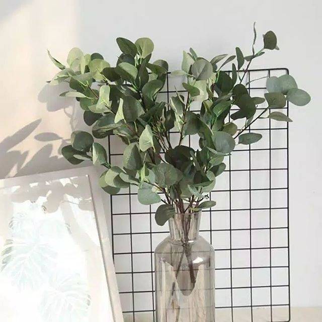 Eucalyptus artificial  / daun eucalyptus / daun dollar eucalyptus