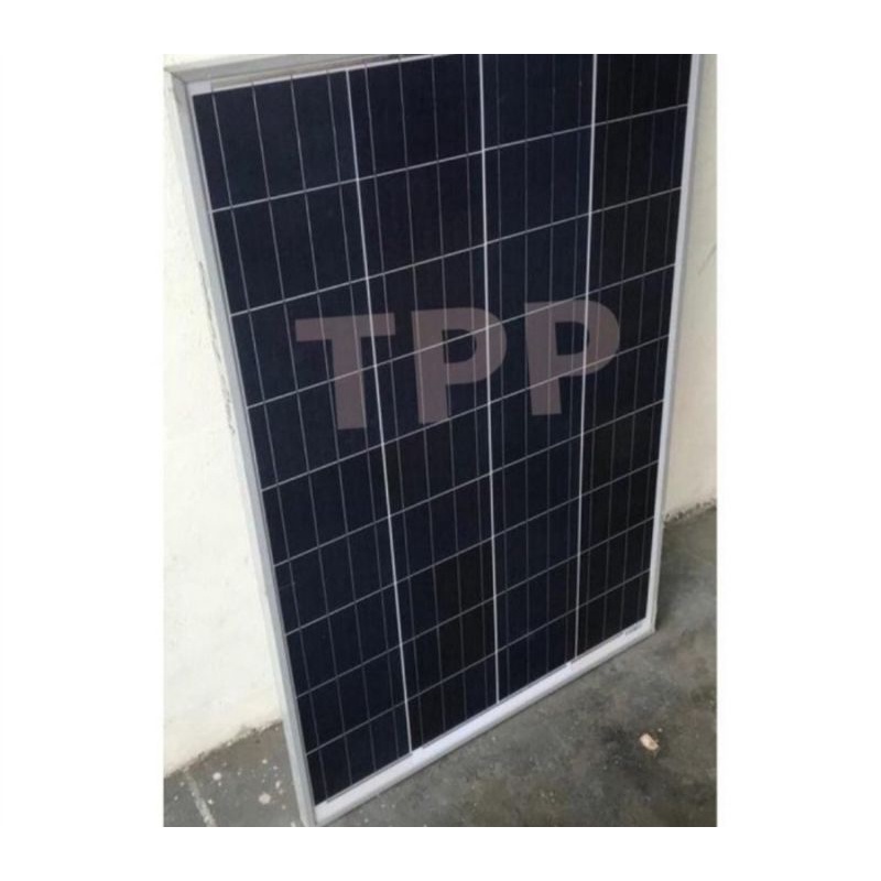 PROMO Panel Surya Poly 100WP Solar Panel 100 WP