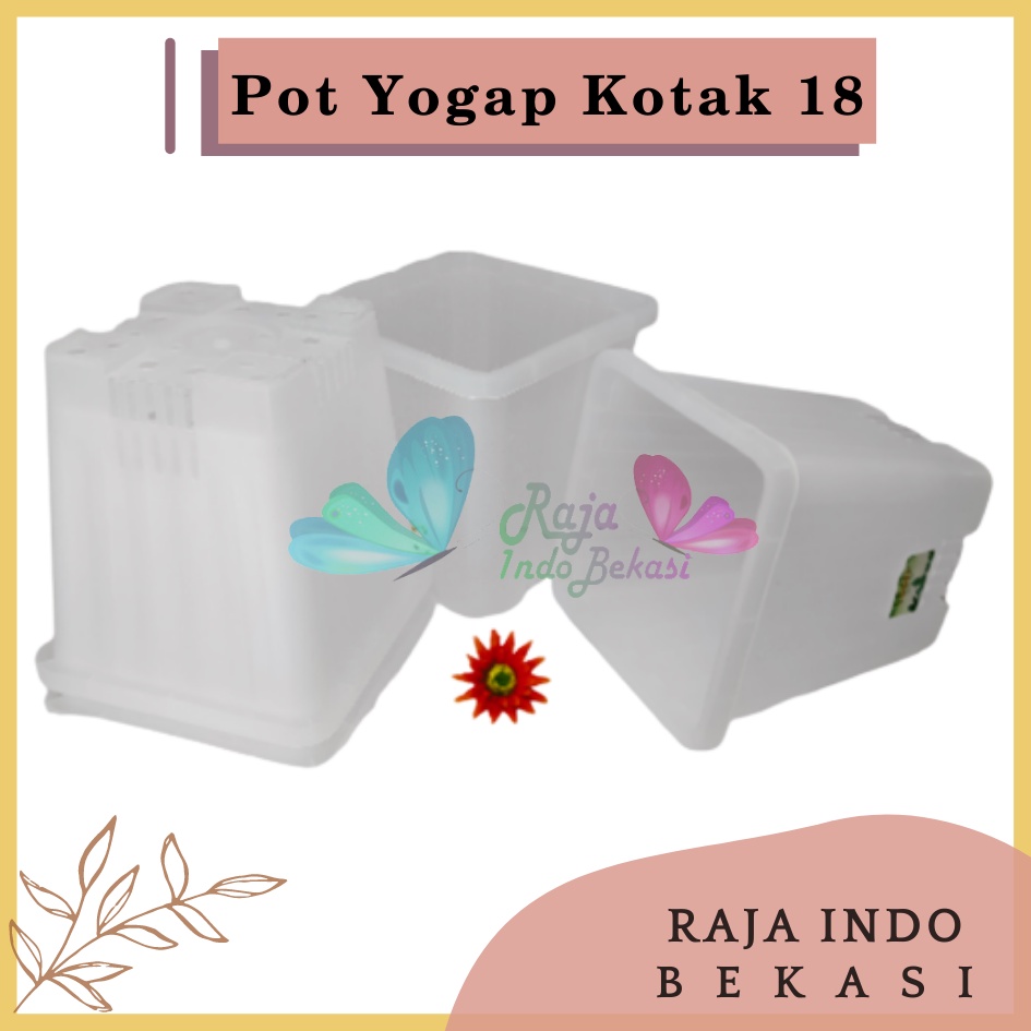 Pot Yogap Kotak 18 Transparan Bening Clear Pot Yogap 10 13 15 17 18 19 25 30 Pot Yogap Lusinan Pot Kotak Panjang Tinggi Pot Segi Empat Hias Panjang Plastik