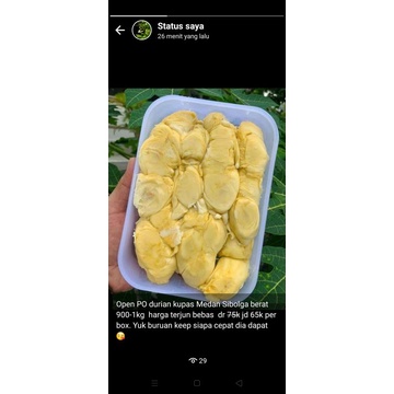 

durian Medan sibolga