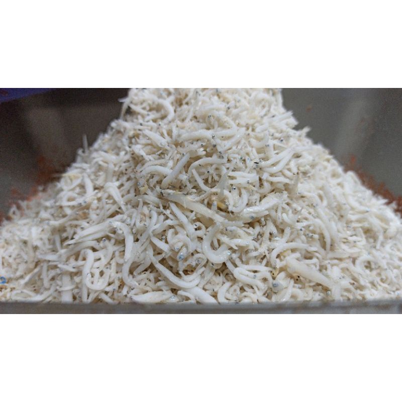 

Ikan Teri Medan premium per 100gram