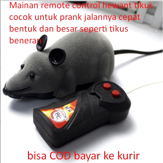 Mainan remote control hewant tikus cocok untuk prank jalannya cepat bentuk dan besar seperti tikus b