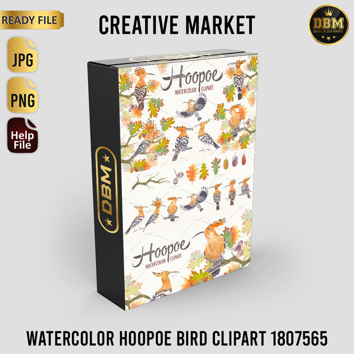 Watercolor Hoopoe Bird Clipart - Vector Designs