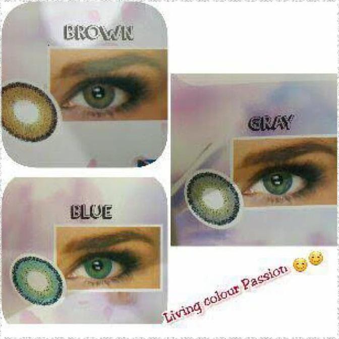 

SOFTLENS SOFLENS PASSION 14.4MM