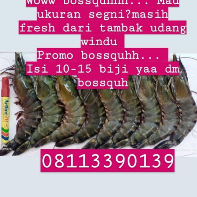 

Udang windu tambak isi 10-15