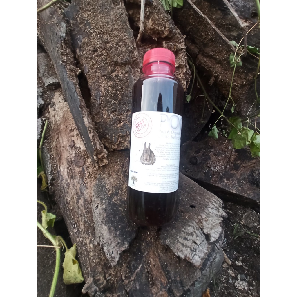 POC Urine Kelinci fermentasi