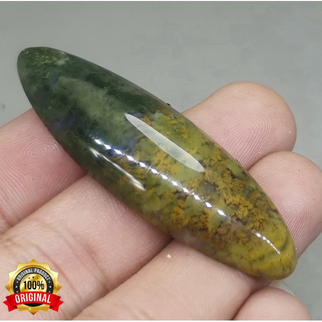 BATU ASLI PANDAN LUMUT TRENGGALEK