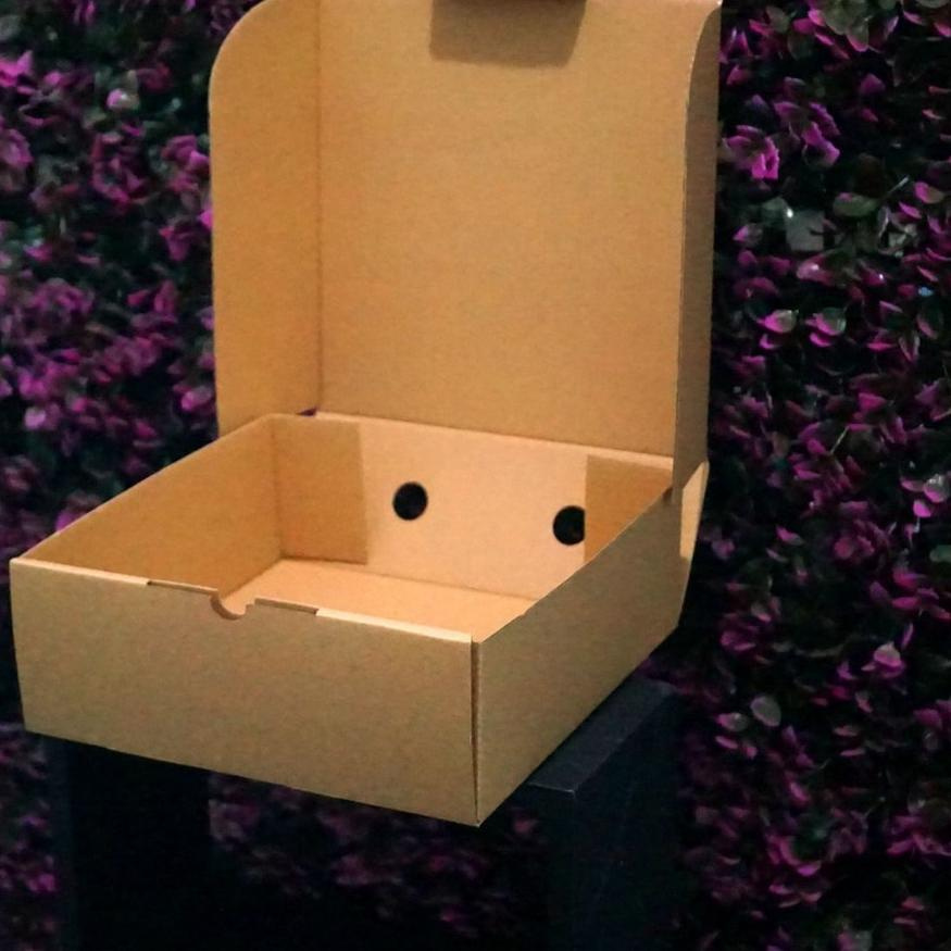 

TOP PRODUK Kotak Packaging Polos Tinggi 25 x 25 x 12 cm - Pizza Box - Bentuk Kotak~