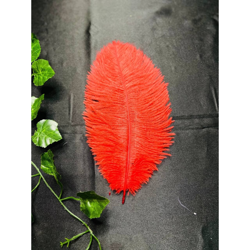 Bulu Ostrich feather Red Premium 20-25