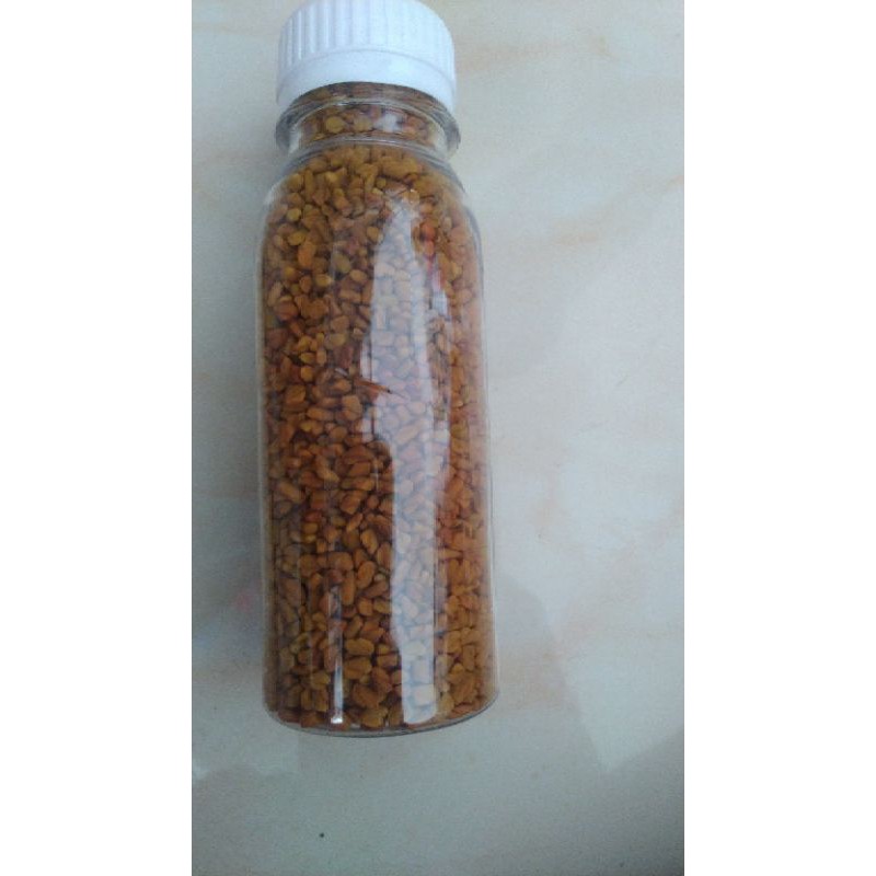 METHI SEED/HALBA