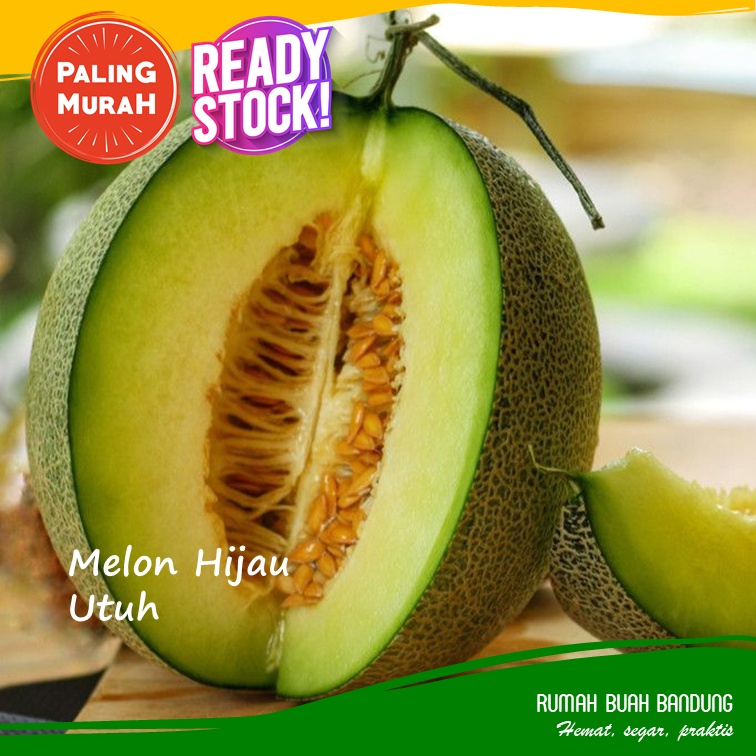 Melon Hijau (Sky Melon) Utuh Per Butir