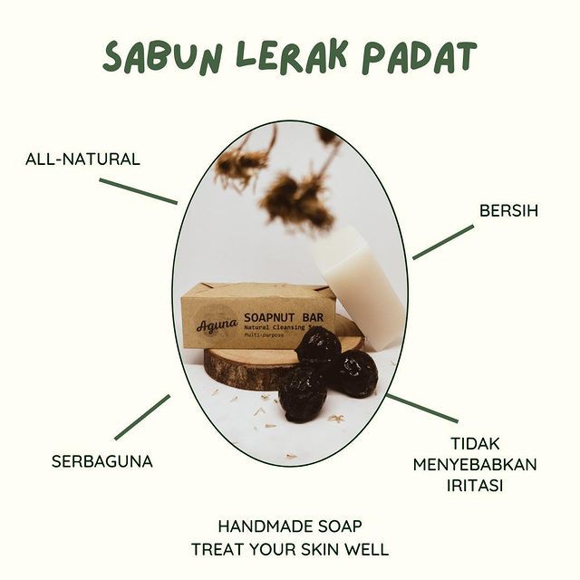 AGUNA SABUN LERAK BATANG NATURAL SOAP NUT | DETERJEN CUCI BAJU BATIK PIRING PEL ALAMI