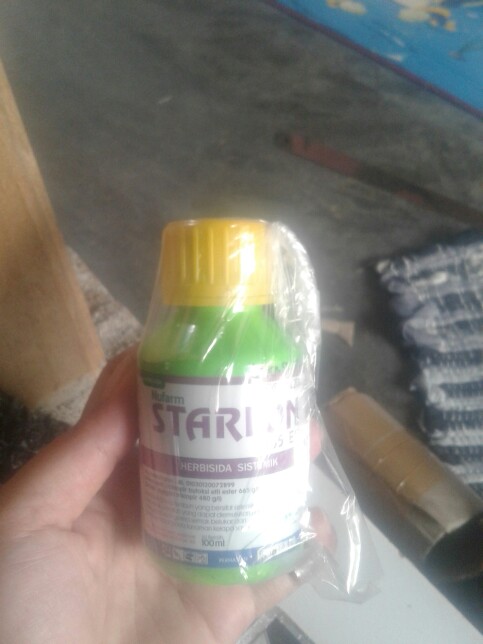 Obat Jentik Jentik Abate 10 Gram 1gr Pembasmi Basmi Uget Uget Jumantik Nyamuk Dbd Ampuh Terlaris