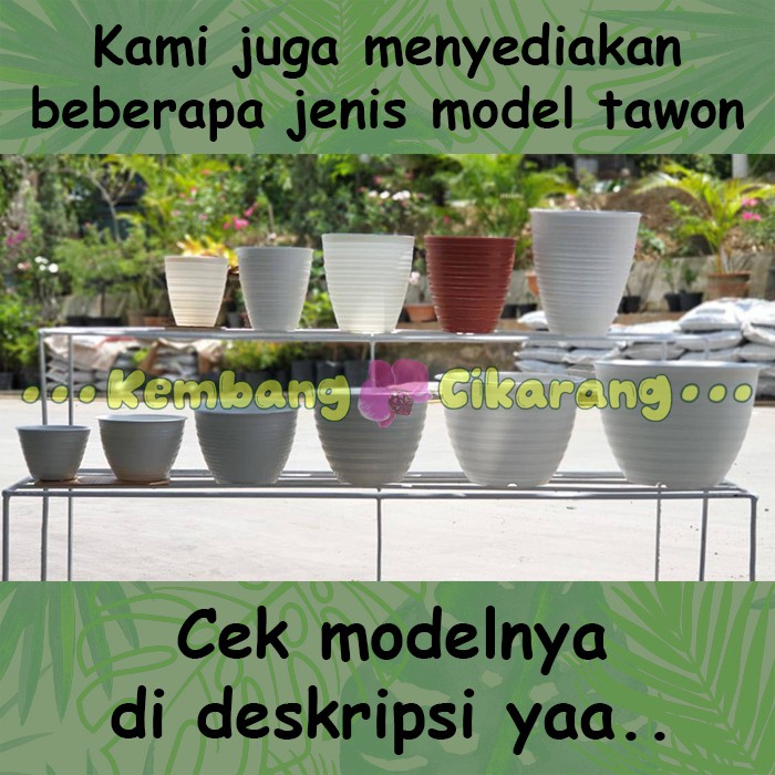 MODEL TAWON MDN UK 10 pot bunga model tawon kecil mungil pot kaktus pot mini bagus warna warni