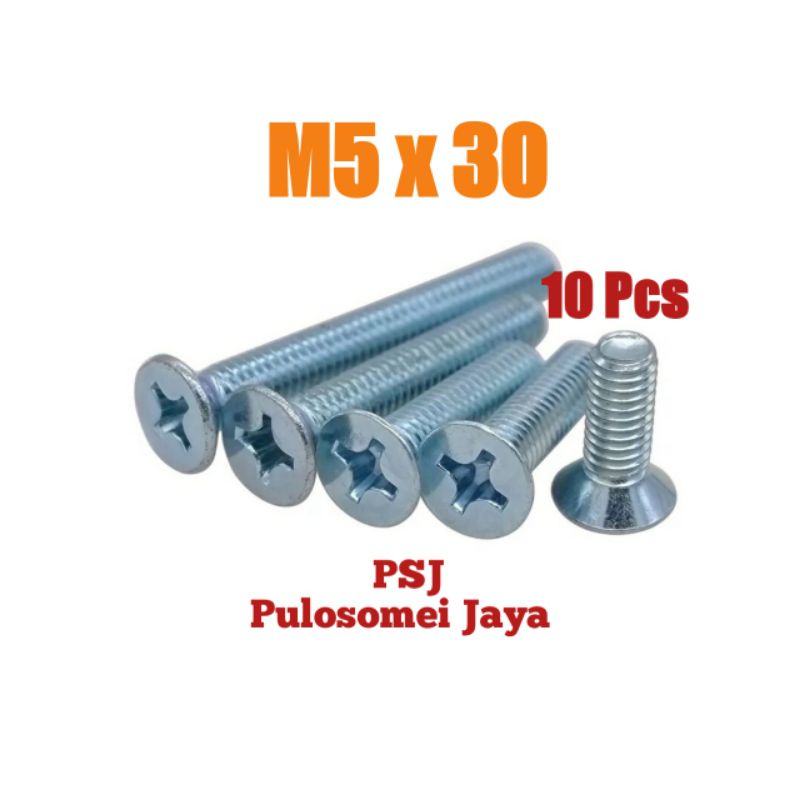 Baut JF / M5 x 30 / Machine Screw Galvanis (10 Pcs)
