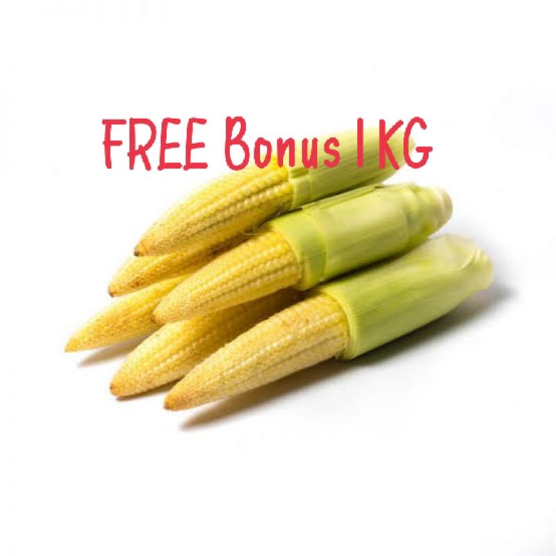 

Jagung muda/jagung baby