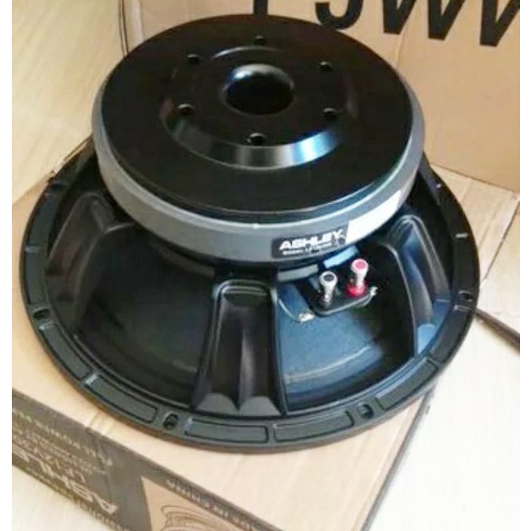 SPEAKER ASHLEY LF12V300 12INCH V 300 ASHLEY ORIGINAL SPEAKER