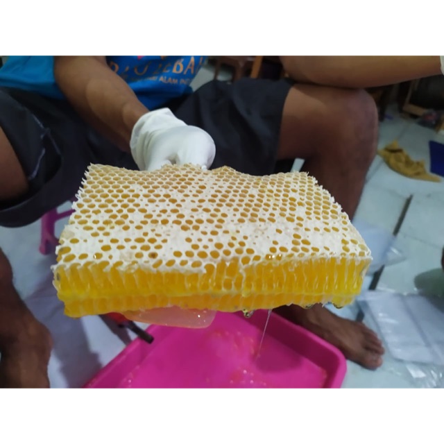 

Sarang Madu Murni