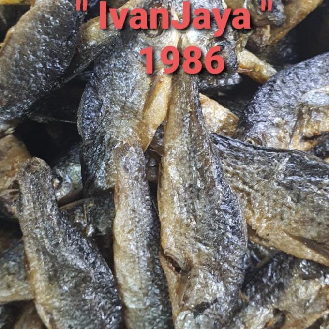 

[COD] Ikan Bilih Danau Singkarak / Tawar Padang Besar 1000gram [COD]