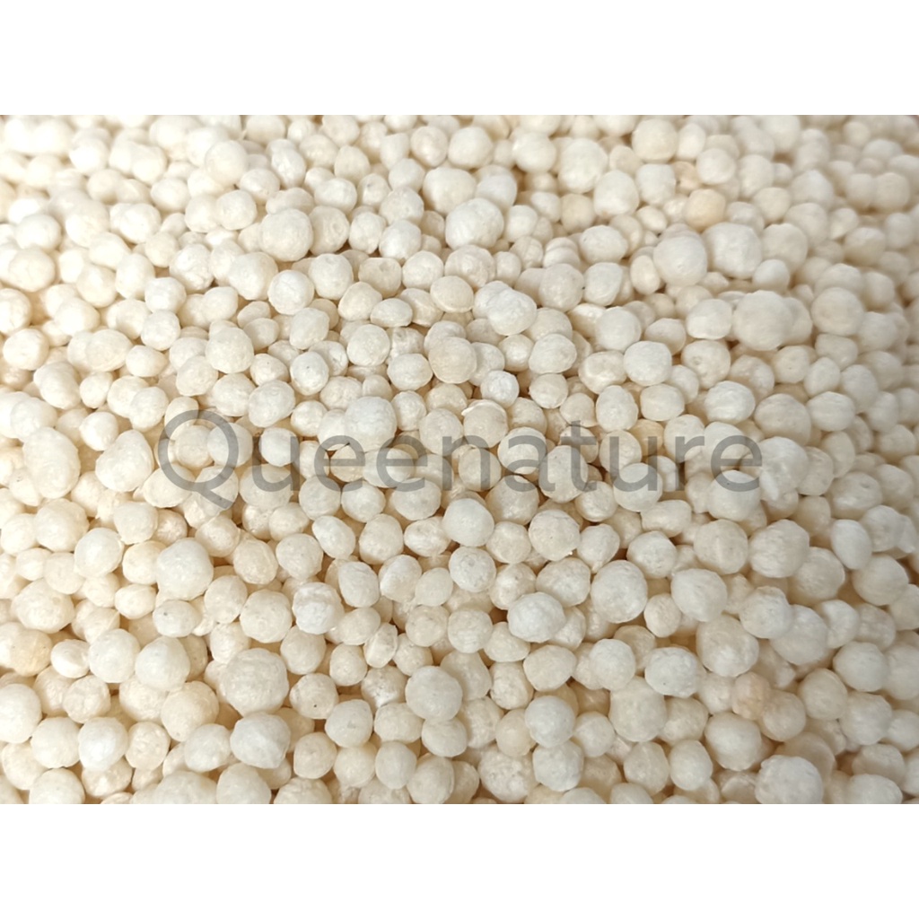 Rice Crispy White (Oval/Round)  Krispi Beras Putih (Lonjong/Bulat) Premium