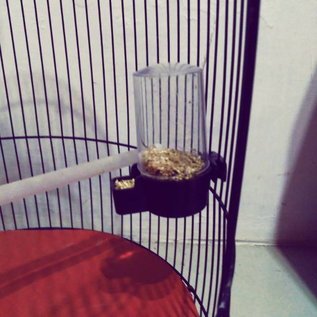 Tempat pakan burung