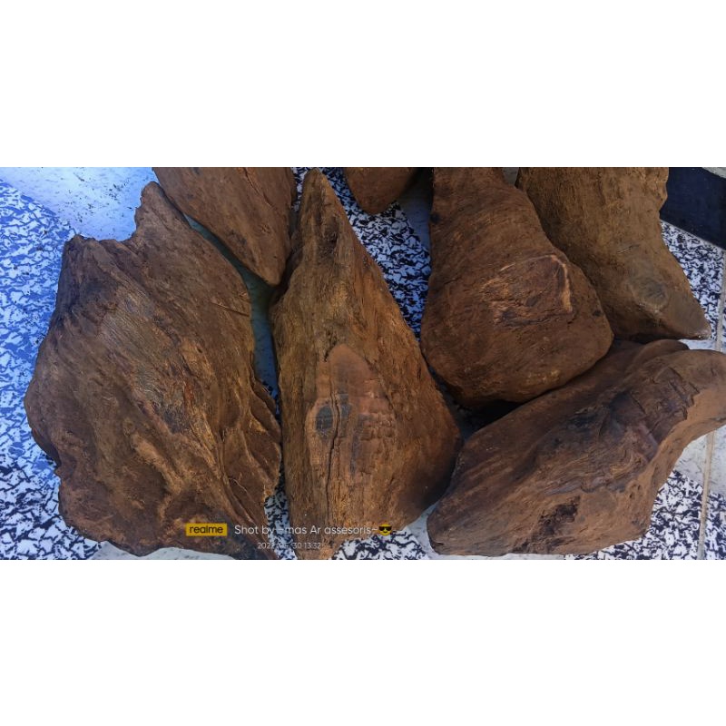 bongking fosil kayu gaharu buaya asli 1000% ORI termurah asal Kalimantan super khas wangi 1kg-15kg