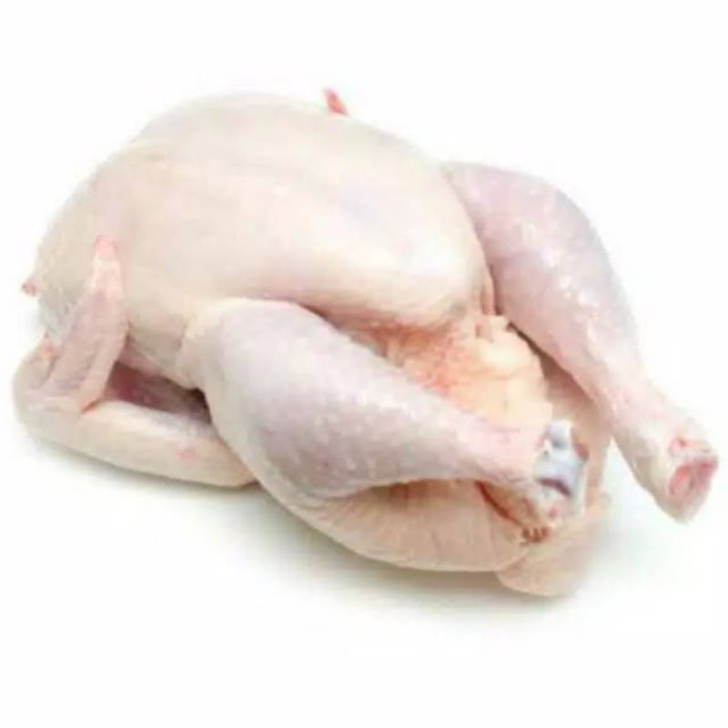 

ayam karkas broiler berat 800 - 900 kg