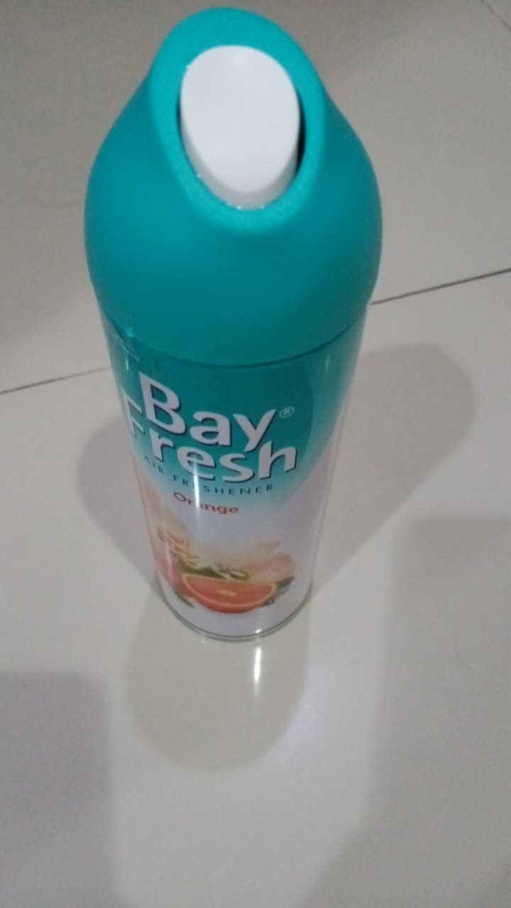 Bayfresh Aerosol Orange 320 Ml