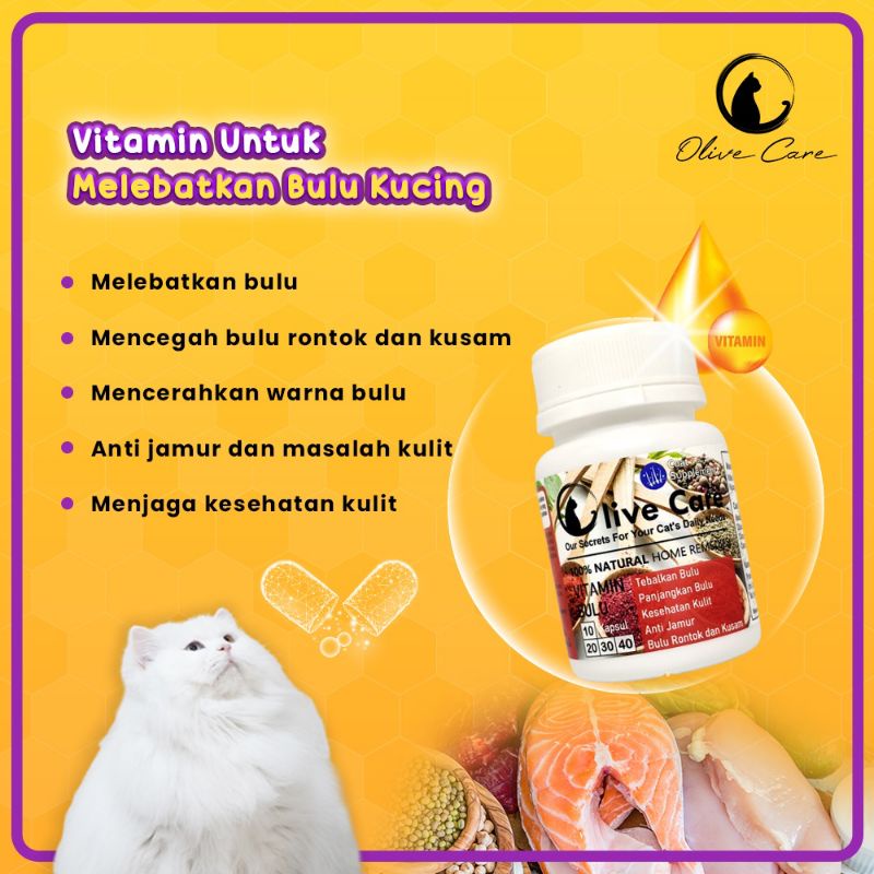 Olive Care Vitamin Bulu Kucing Melebatkan dan Menumbuhkan Bulu Mencegah Kerontokan Rambut Kucing ORD 2