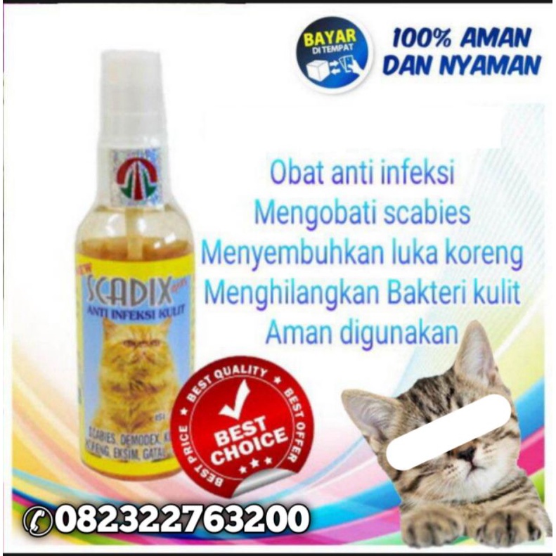 Obat kucing kadas kurap jamur kucing