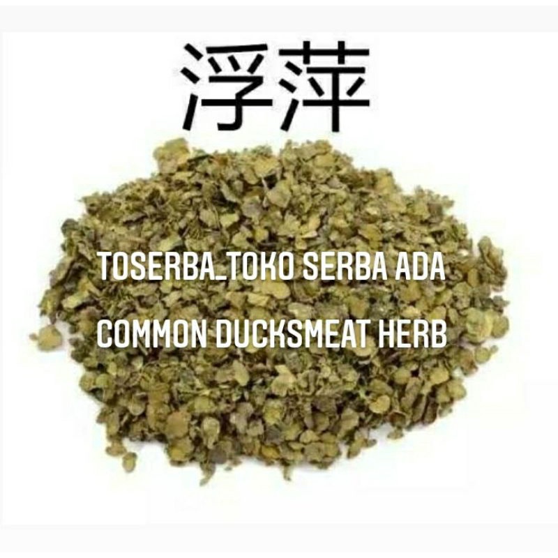 

100gr Herbal Fu Ping 浮萍 Common Ducksmeat Herb Premium Grade