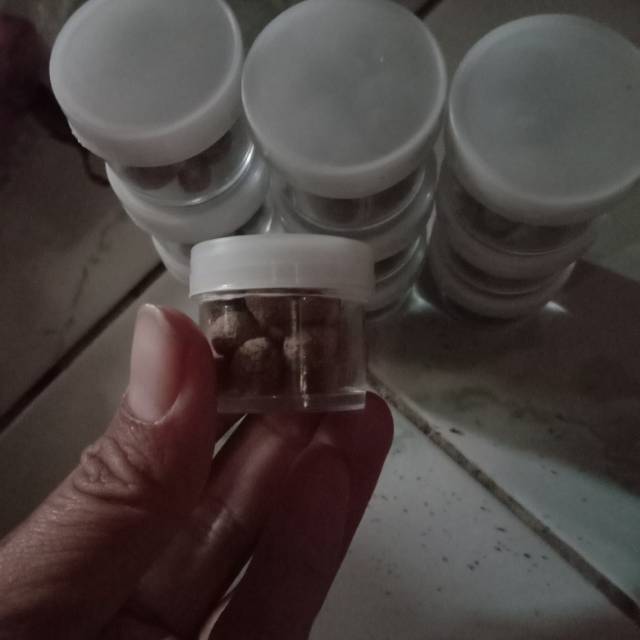 

Jamu dayak