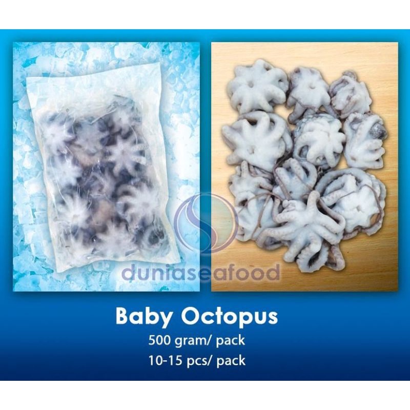 

Baby Octopus 500 gram/pack 10-15 pcs/pack