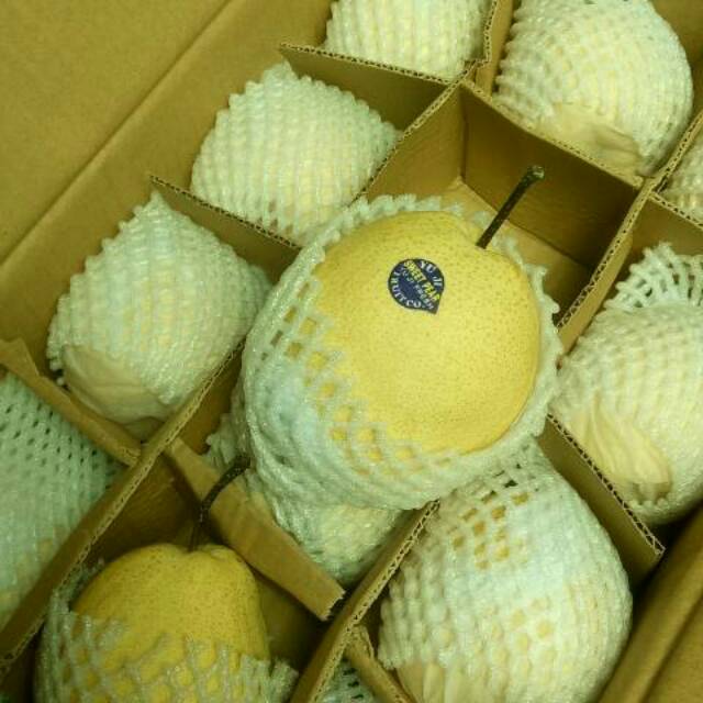 

Buah sweat pear Madu