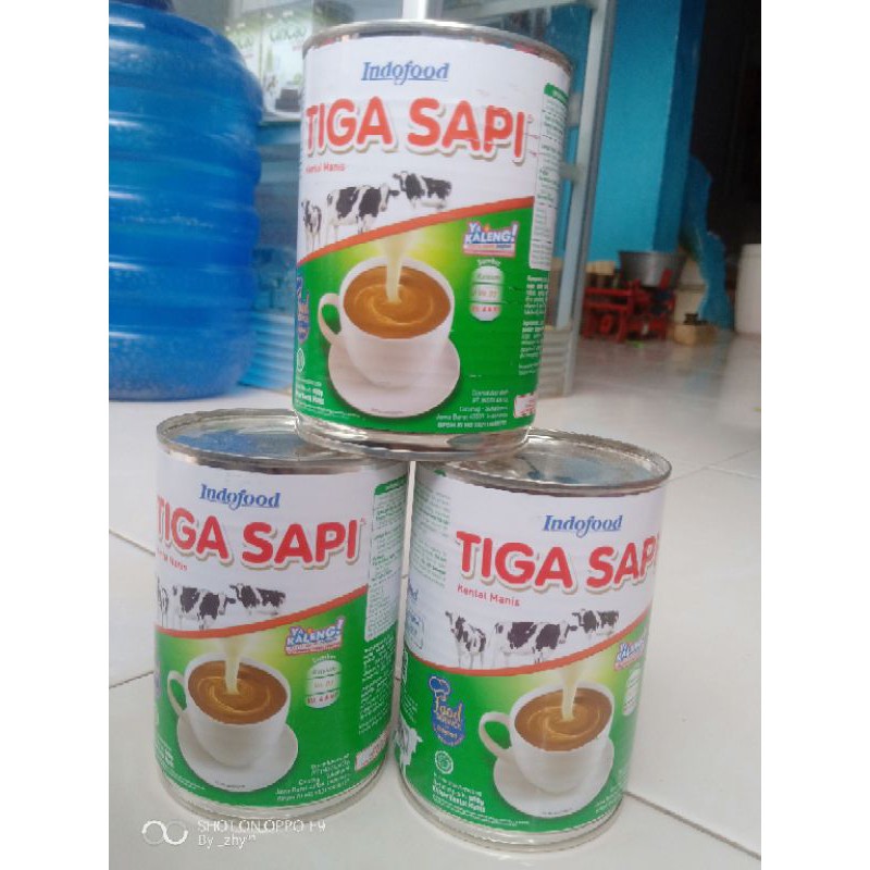 

Tiga sapi