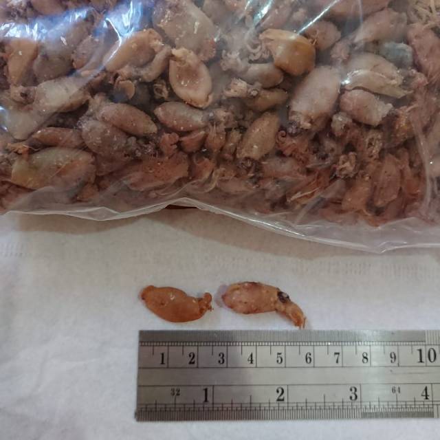 

750gr Baby Cumi Kering Asin MURAH , BERKUALITAS TINGGI | ukuran 2-3 cm