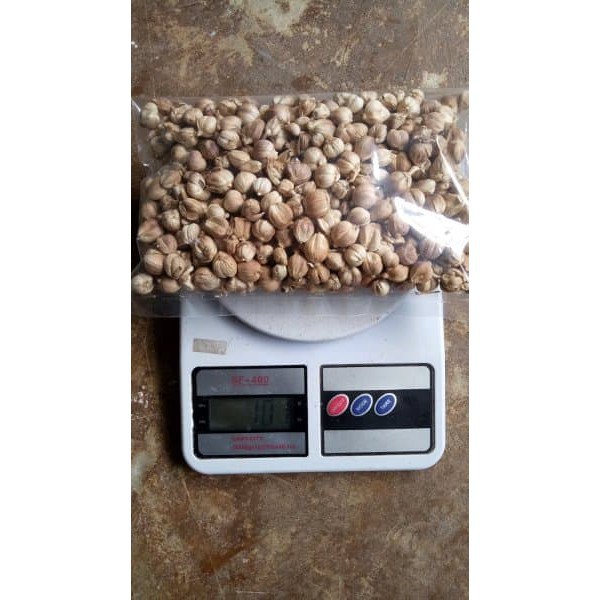 

JUAL Buah Kapolaga atau Kapol Kering 100gr