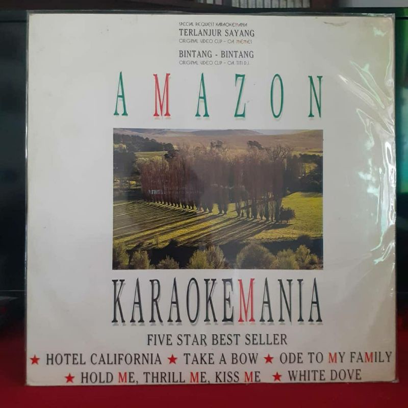 LASER DISC - Karaoke Mania - Gloria Estefan The Cranberries Madonna Celine Dion Stevie Wonder Eagles