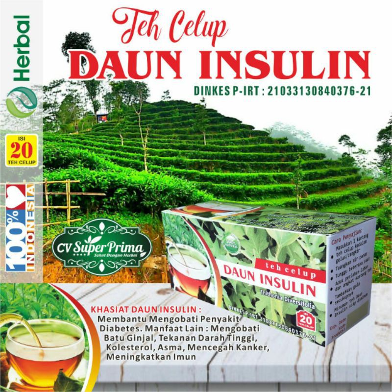 TEH CELUP DAUN INSULIN ATASI DARAH TINGGI ASMA DIABETES DAN KOLESTROL (INSULIN)