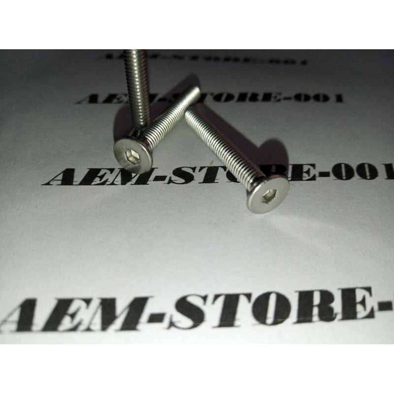 verseng L M4 x 30 (3cm)stainless 304