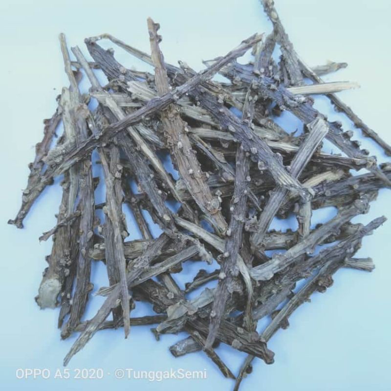 

[ 1kg ] brotowali atau putrowali kering premium