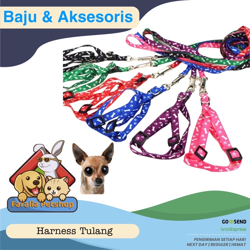 Pet Harness Kucing Anjing Musang Cat Dog Leash Harnes Motif Bone