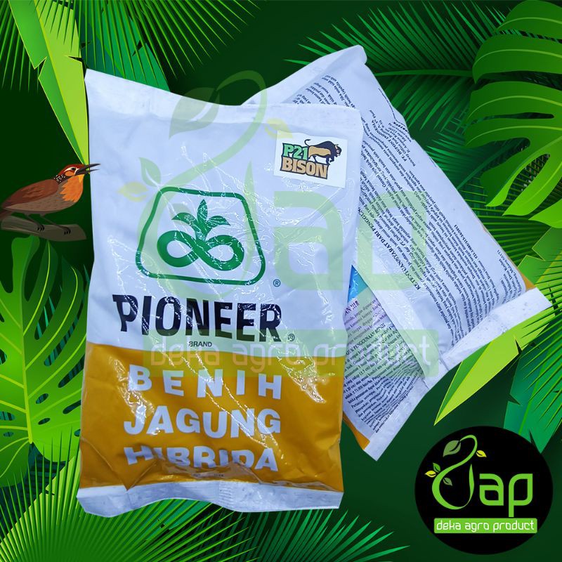 BIBIT BENIH JAGUNG PIONEER P21 BISON pioner