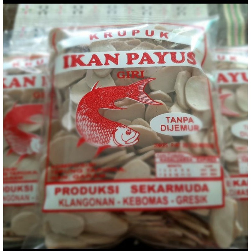 

Kerupuk ikan payus mentah asli Gresik