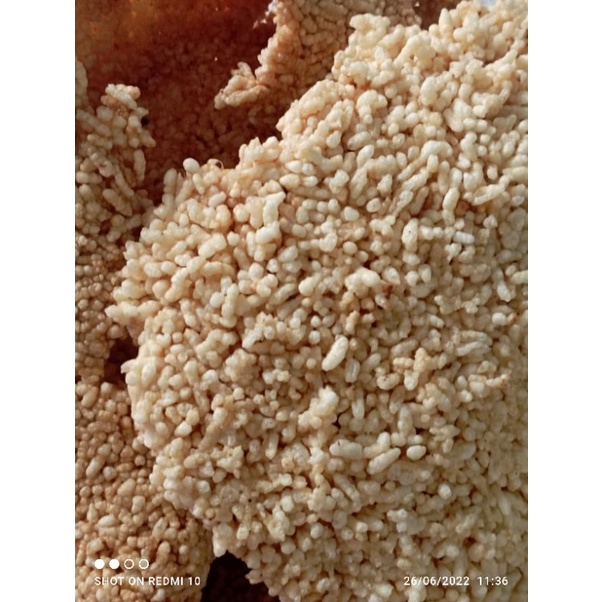 

KERAK INTIP ASIN 500 gram