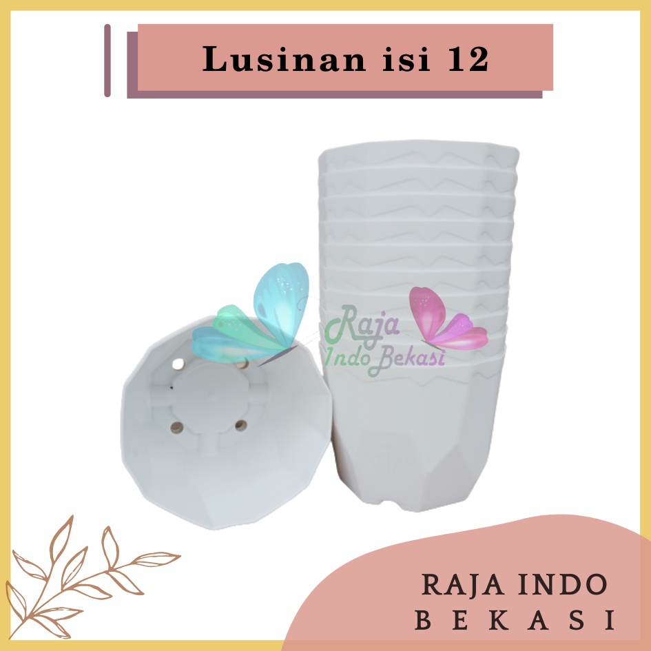 Lusinan Isi 12 Pcs Pot Permata 12 Putih Diameter 10,5cm Pot Kaktus Mini Lucu Murah Bkn Pot Tawon 10 12